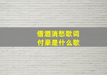 借酒消愁歌词 付豪是什么歌